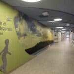 Healthcare construction requires cleanliness during the project